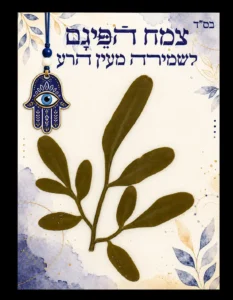 כרטיס פיגם חמסה כחולה – שמירה והגנה