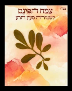 כרטיס פיגם שקיעה ורודה – שמירה וברכה