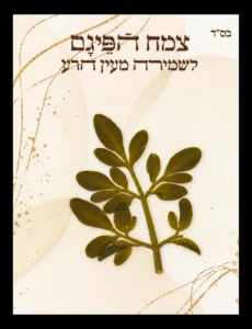 כרטיס פיגם זהב קלאסי – שמירה וברכה